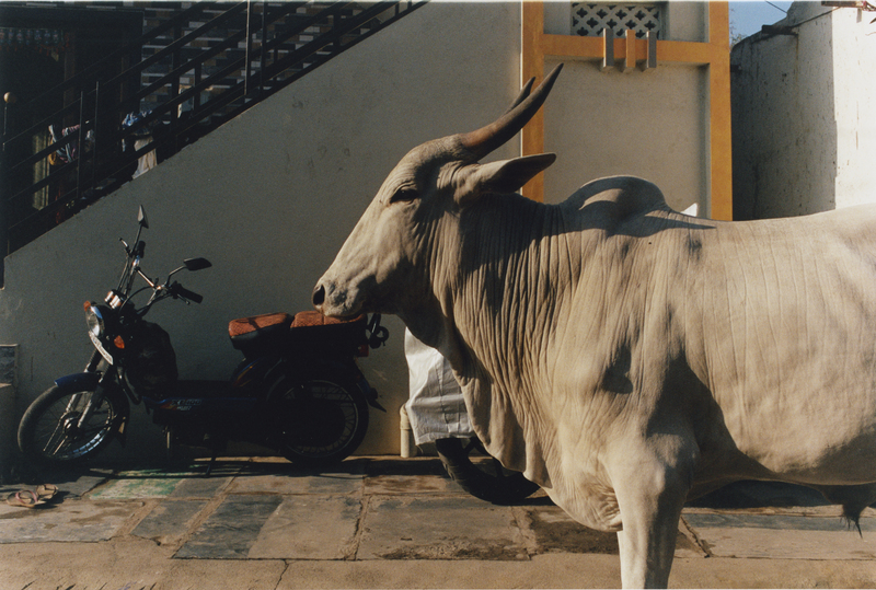 INDE - Photography by EDWARD LANE